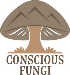 Conscious Fungi